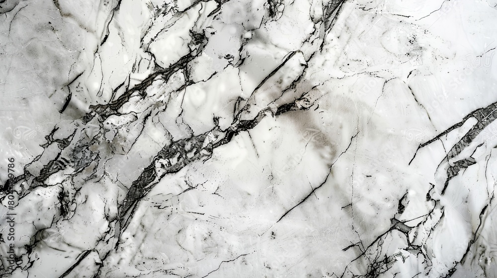 Elegant White Marble Texture With Grey Veins Elegant White Marble Texture With Grey Veins