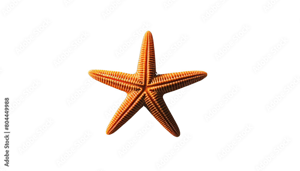 3D rendering of a starfish. The starfish has five arms and a rough texture. It is orange in color. White background, Transparent background. 3D rendering of a starfish. The starfish has five arms and a rough texture. It is orange in color. White background, Transparent background.