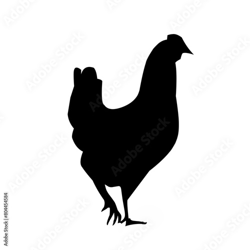 Chicken black vector silhouette