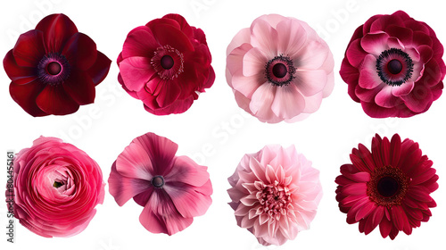 Pink and Red Floral Bouquet Isolated on Transparent Background - Elegant Digital Art for Spring and Summer Designs