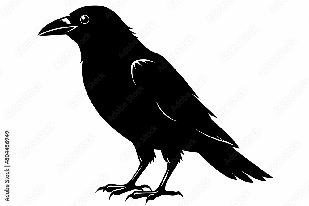 Fototapeta premium crow silhouette on white background, Vector illustration, icon, svg, characters, Holiday t shirt, Hand drawn trendy Vector illustration