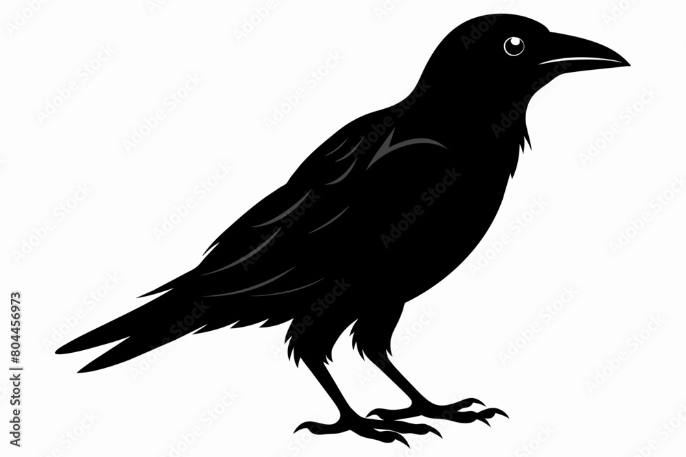 Fototapeta premium crow silhouette on white background, Vector illustration, icon, svg, characters, Holiday t shirt, Hand drawn trendy Vector illustration