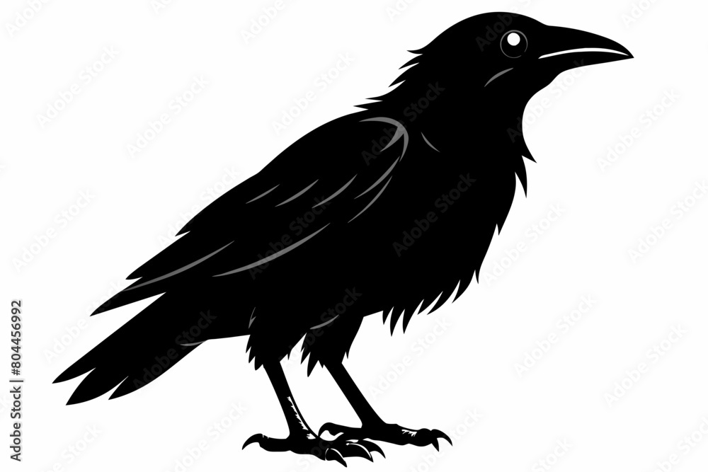 crow silhouette on white background, Vector illustration, icon, svg, characters, Holiday t shirt, Hand drawn trendy Vector illustration