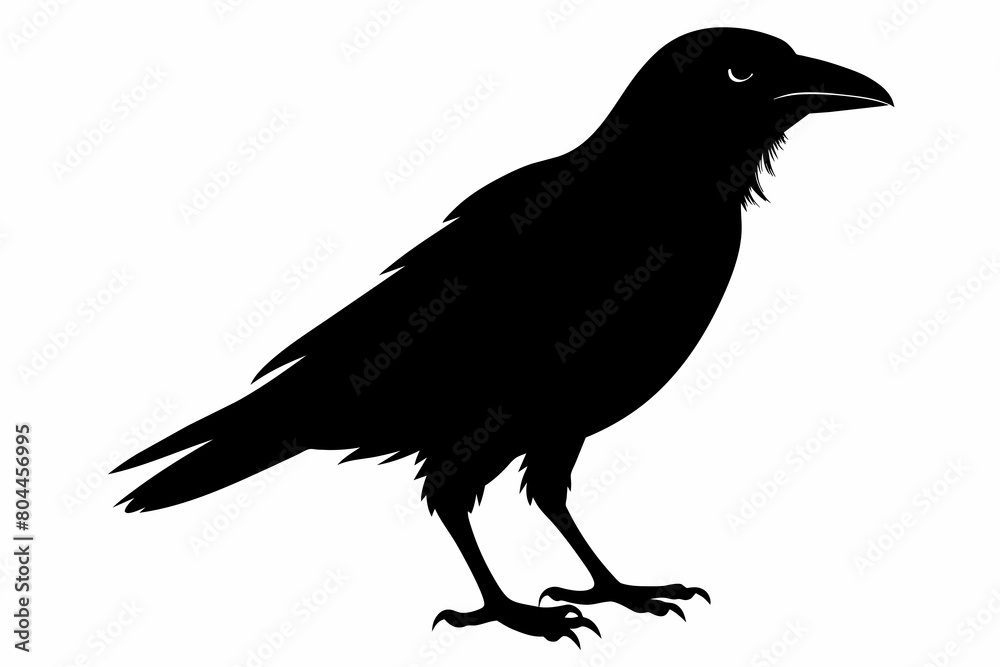 Fototapeta premium crow silhouette on white background, Vector illustration, icon, svg, characters, Holiday t shirt, Hand drawn trendy Vector illustration