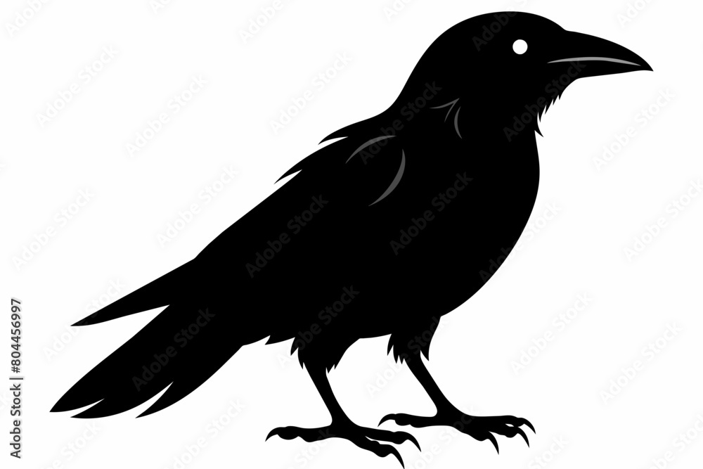 Fototapeta premium crow silhouette on white background, Vector illustration, icon, svg, characters, Holiday t shirt, Hand drawn trendy Vector illustration