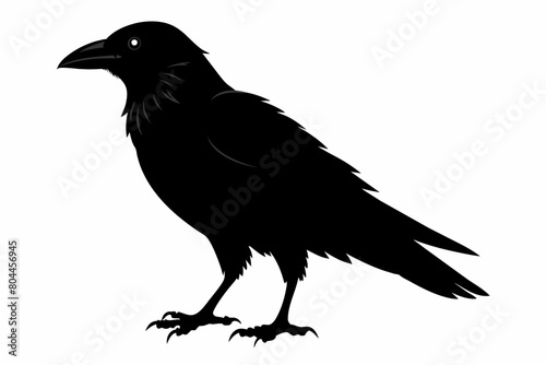 crow silhouette on white background, Vector illustration, icon, svg, characters, Holiday t shirt, Hand drawn trendy Vector illustration
