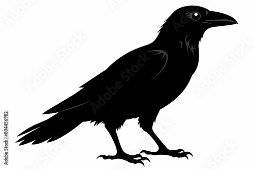 crow silhouette on white background, Vector illustration, icon, svg, characters, Holiday t shirt, Hand drawn trendy Vector illustration