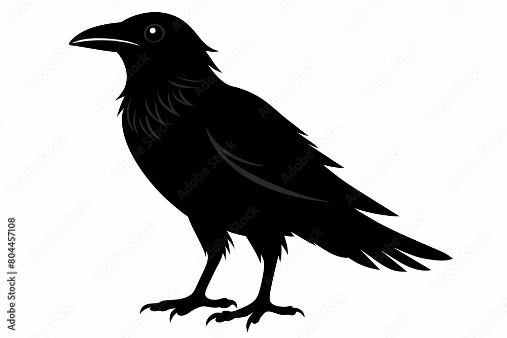 Fototapeta premium crow silhouette on white background, Vector illustration, icon, svg, characters, Holiday t shirt, Hand drawn trendy Vector illustration