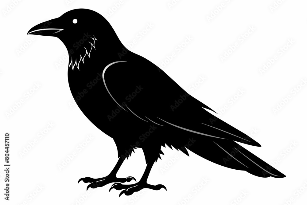 Fototapeta premium crow silhouette on white background, Vector illustration, icon, svg, characters, Holiday t shirt, Hand drawn trendy Vector illustration