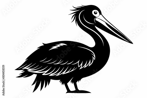 pelican silhouette on white background, Vector illustration, icon, svg, characters, Holiday t shirt, Hand drawn trendy Vector illustration photo
