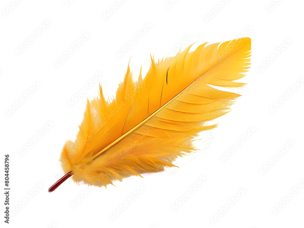 yellow feather isolated on transparent background cutout, PNG file ...
