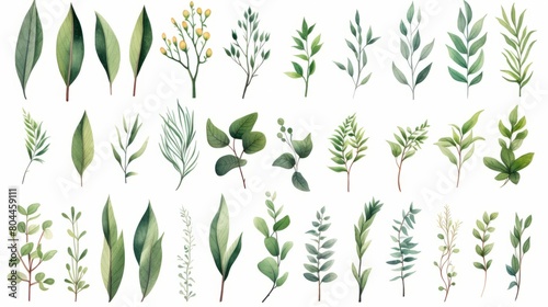 Collection of green plants isolated on white background illustration set.
