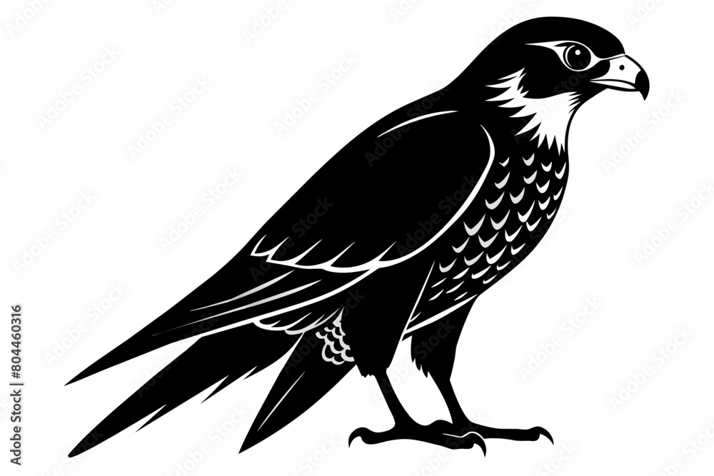 Falcon silhouette on white background, Vector illustration, icon, svg, characters, Holiday t shirt, Hand drawn trendy Vector illustration Falcon silhouette on white background, Vector illustration, icon, svg, characters, Holiday t shirt, Hand drawn trendy Vector illustration