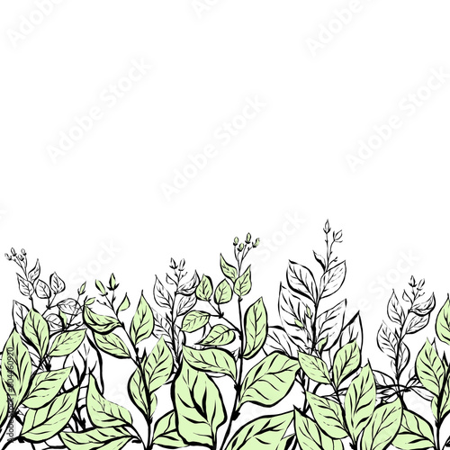 Bottom border with tree shoots in green and black graphic style © ARTBRUSH