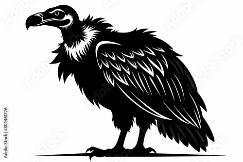 Vulture silhouette on white background, Vector illustration, icon, svg, characters, Holiday t shirt, Hand drawn trendy Vector illustration, eagle silhouette