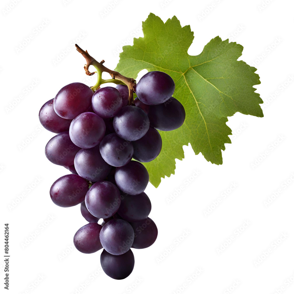 Fototapeta premium grape with leaf