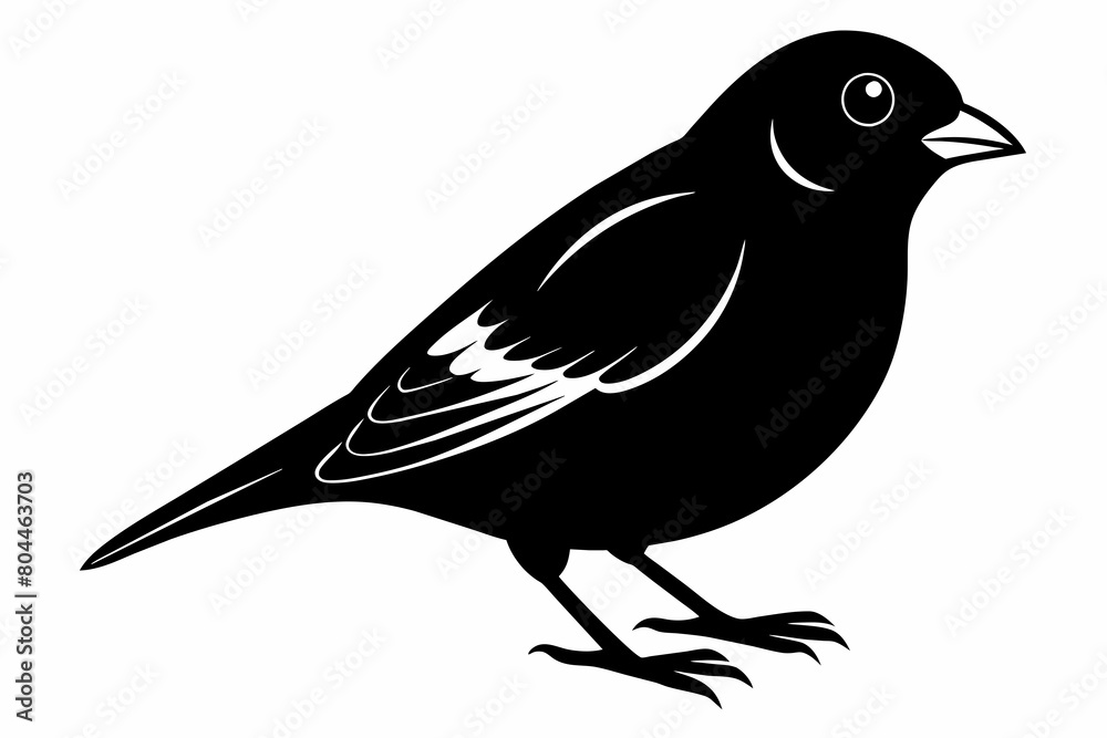 Fototapeta premium Finch silhouette on white background, Vector illustration, icon, svg, characters, Holiday t shirt, Hand drawn trendy Vector illustration, eagle silhouette