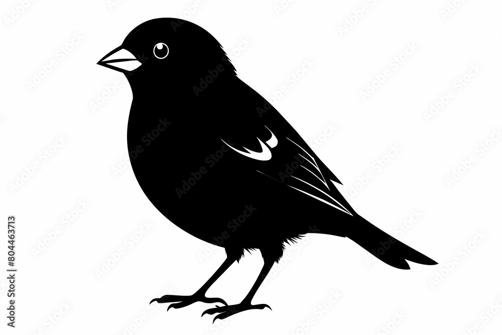 Finch silhouette on white background, Vector illustration, icon, svg, characters, Holiday t shirt, Hand drawn trendy Vector illustration, eagle silhouette Finch silhouette on white background, Vector illustration, icon, svg, characters, Holiday t shirt, Hand drawn trendy Vector illustration, eagle silhouette
