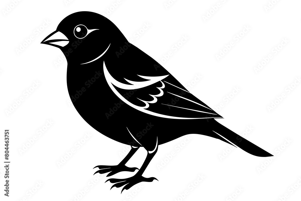 Obraz premium Finch silhouette on white background, Vector illustration, icon, svg, characters, Holiday t shirt, Hand drawn trendy Vector illustration, eagle silhouette