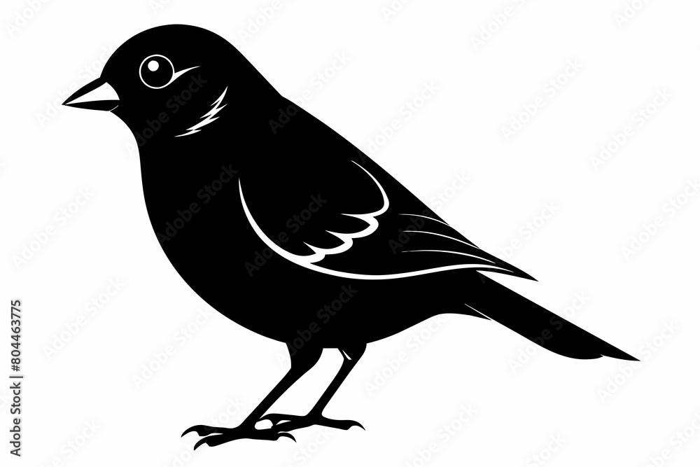 Finch silhouette on white background, Vector illustration, icon, svg, characters, Holiday t shirt, Hand drawn trendy Vector illustration, eagle silhouette Finch silhouette on white background, Vector illustration, icon, svg, characters, Holiday t shirt, Hand drawn trendy Vector illustration, eagle silhouette