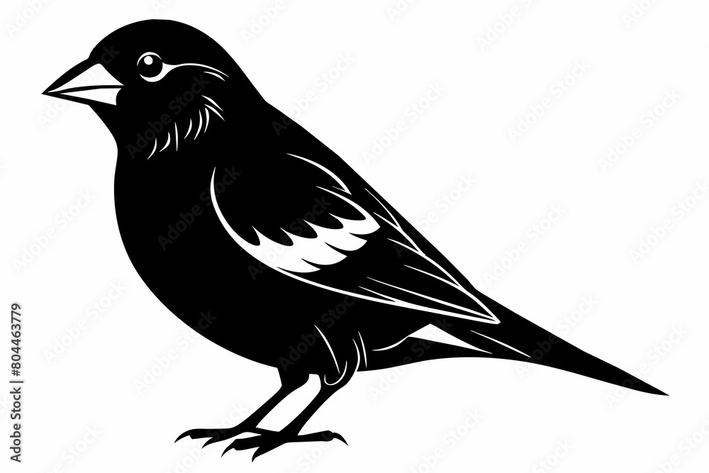 Obraz premium Finch silhouette on white background, Vector illustration, icon, svg, characters, Holiday t shirt, Hand drawn trendy Vector illustration, eagle silhouette