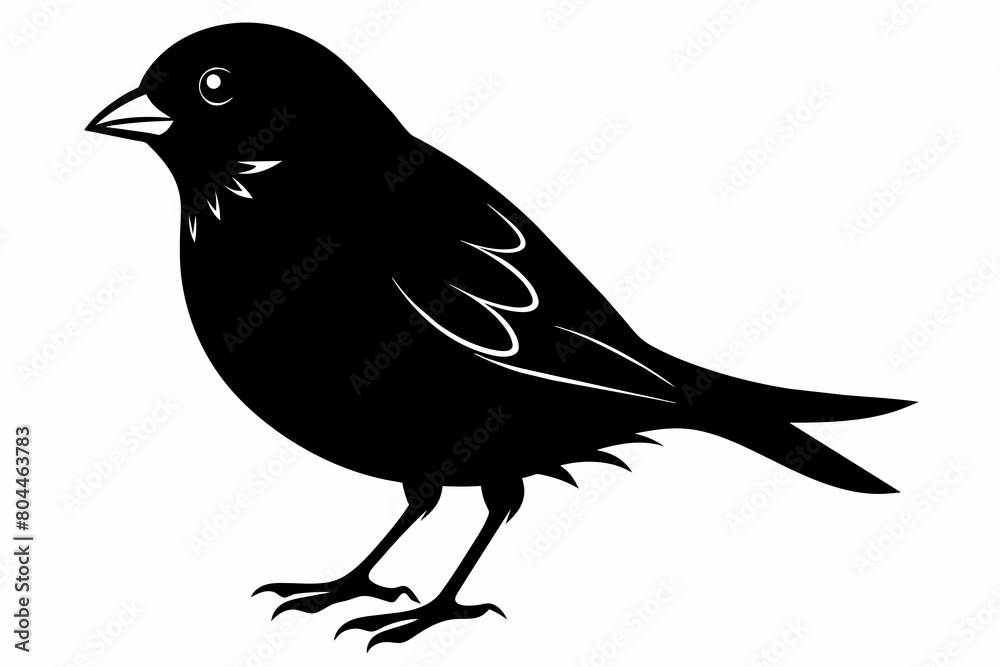 Finch silhouette on white background, Vector illustration, icon, svg, characters, Holiday t shirt, Hand drawn trendy Vector illustration, eagle silhouette Finch silhouette on white background, Vector illustration, icon, svg, characters, Holiday t shirt, Hand drawn trendy Vector illustration, eagle silhouette