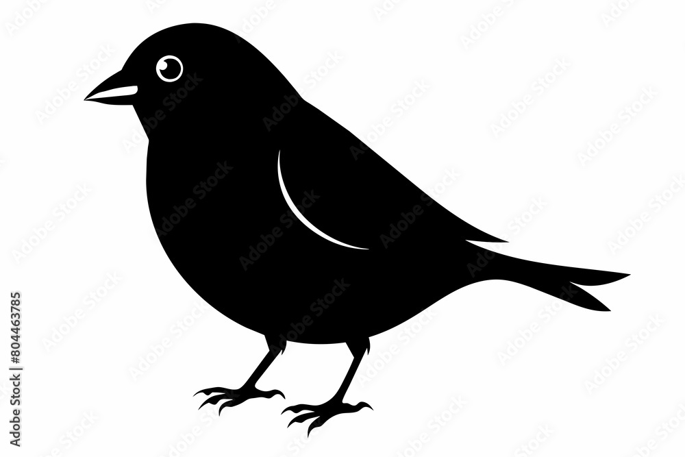 Finch silhouette on white background, Vector illustration, icon, svg, characters, Holiday t shirt, Hand drawn trendy Vector illustration, eagle silhouette Finch silhouette on white background, Vector illustration, icon, svg, characters, Holiday t shirt, Hand drawn trendy Vector illustration, eagle silhouette