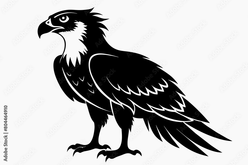 Osprey silhouette on white background, Vector illustration, icon, svg, characters, Holiday t shirt, Hand drawn trendy Vector illustration, eagle silhouette Osprey silhouette on white background, Vector illustration, icon, svg, characters, Holiday t shirt, Hand drawn trendy Vector illustration, eagle silhouette