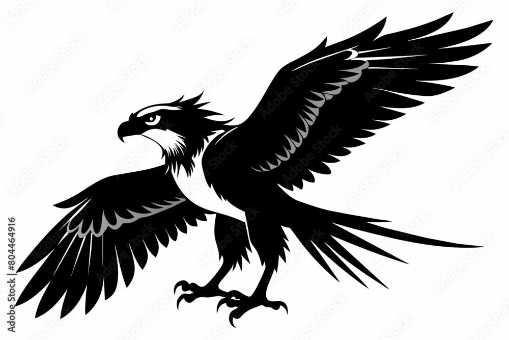 Osprey silhouette on white background, Vector illustration, icon, svg, characters, Holiday t shirt, Hand drawn trendy Vector illustration, eagle silhouette Osprey silhouette on white background, Vector illustration, icon, svg, characters, Holiday t shirt, Hand drawn trendy Vector illustration, eagle silhouette