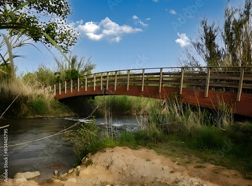 bridge over river in the forest