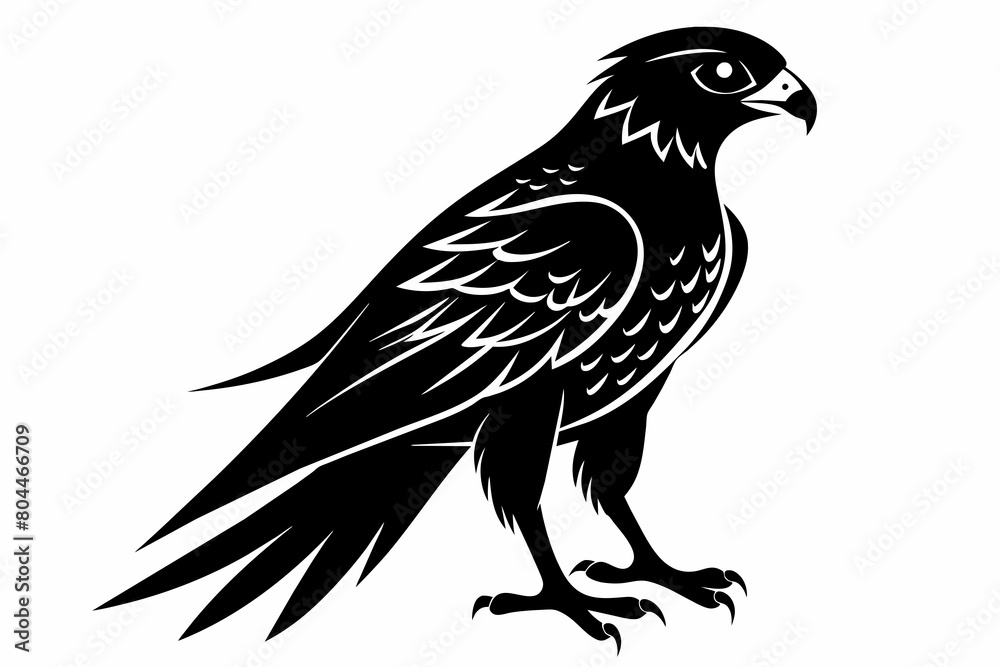 Fototapeta premium kestrel silhouette on white background, Vector illustration, icon, svg, characters, Holiday t shirt, Hand drawn trendy Vector illustration, eagle silhouette