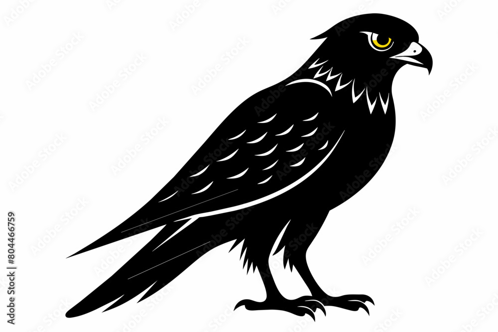 Fototapeta premium kestrel silhouette on white background, Vector illustration, icon, svg, characters, Holiday t shirt, Hand drawn trendy Vector illustration, eagle silhouette