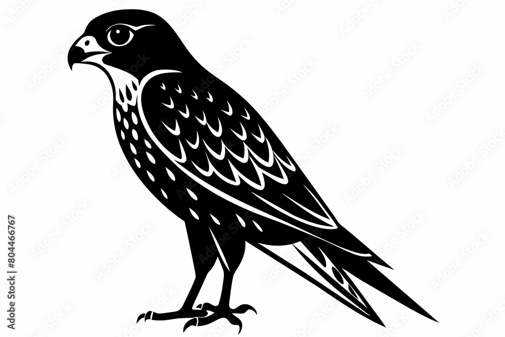 Fototapeta premium kestrel silhouette on white background, Vector illustration, icon, svg, characters, Holiday t shirt, Hand drawn trendy Vector illustration, eagle silhouette