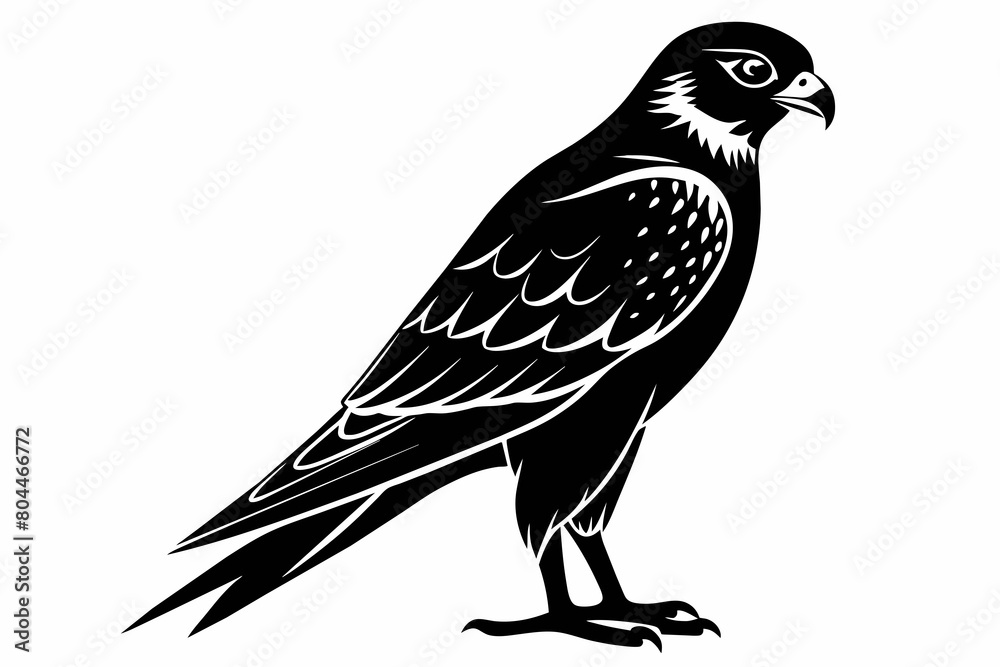 Fototapeta premium kestrel silhouette on white background, Vector illustration, icon, svg, characters, Holiday t shirt, Hand drawn trendy Vector illustration, eagle silhouette