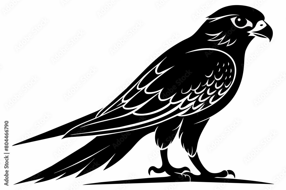 Fototapeta premium kestrel silhouette on white background, Vector illustration, icon, svg, characters, Holiday t shirt, Hand drawn trendy Vector illustration, eagle silhouette