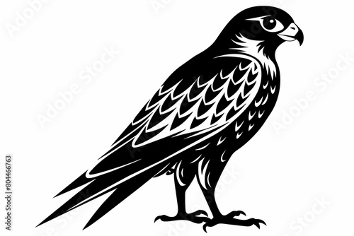 Foto kestrel silhouette on white background, Vector illustration, icon, svg, characte