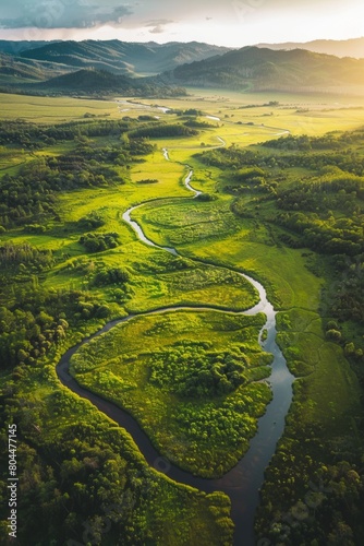 Aerial view of a lush green meadow bathed in golden morning light, with a winding river snaking through it