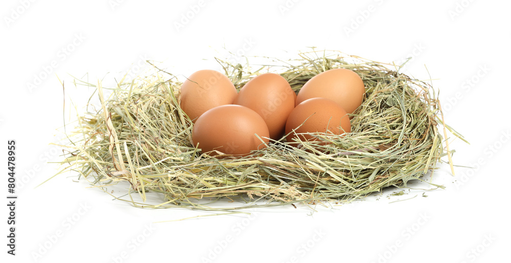 Chicken eggs in nest isolated on white Chicken eggs in nest isolated on white