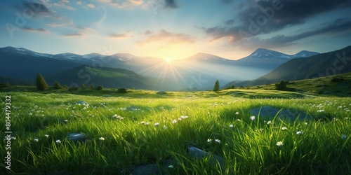 Fresh spring grass sprouts in rays of back rising sun beautiful mountain landscape, concept of Green growth © koldunova