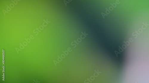 green blurred bokeh background