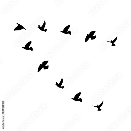 Vector illustration of flock of birds on transparent background 
