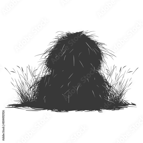 silhouette haystack full black color only photo