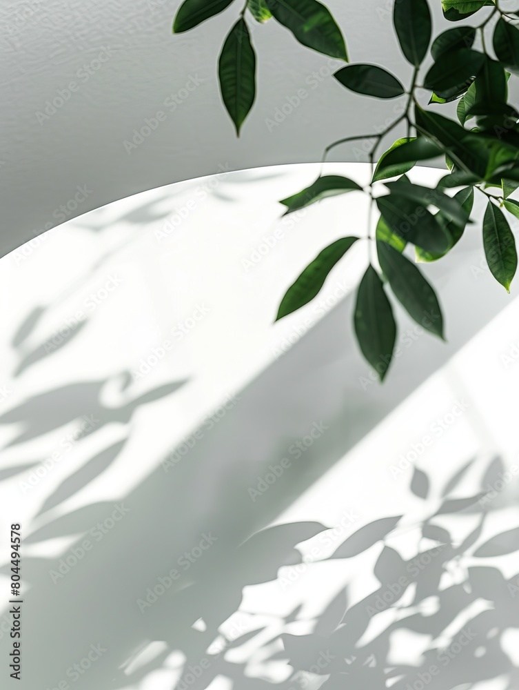 Sunlight shining through a lemon tree onto a white table. Sunlight shining through a lemon tree onto a white table.
