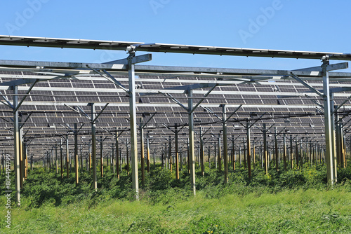 Serre photovoltaïque agricole.