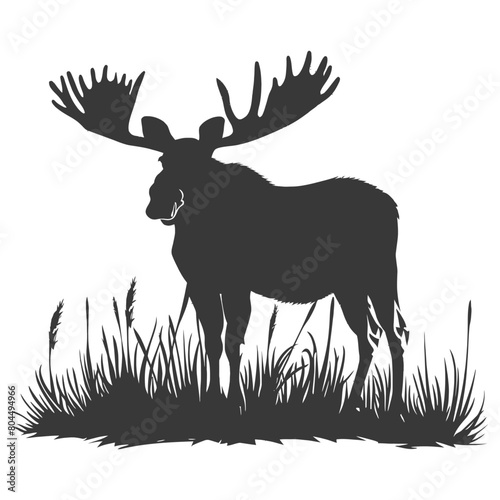 silhouette moose animal full body black color only