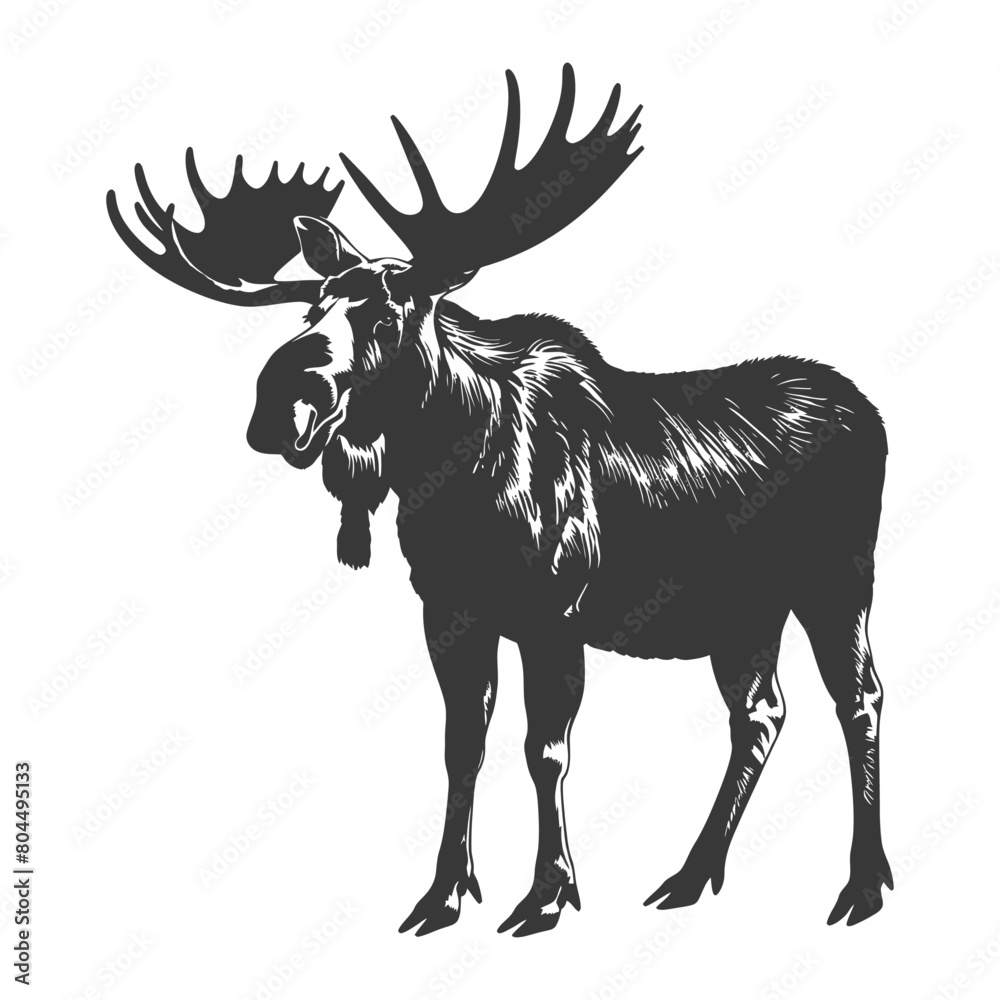 Fototapeta premium silhouette moose animal full body black color only