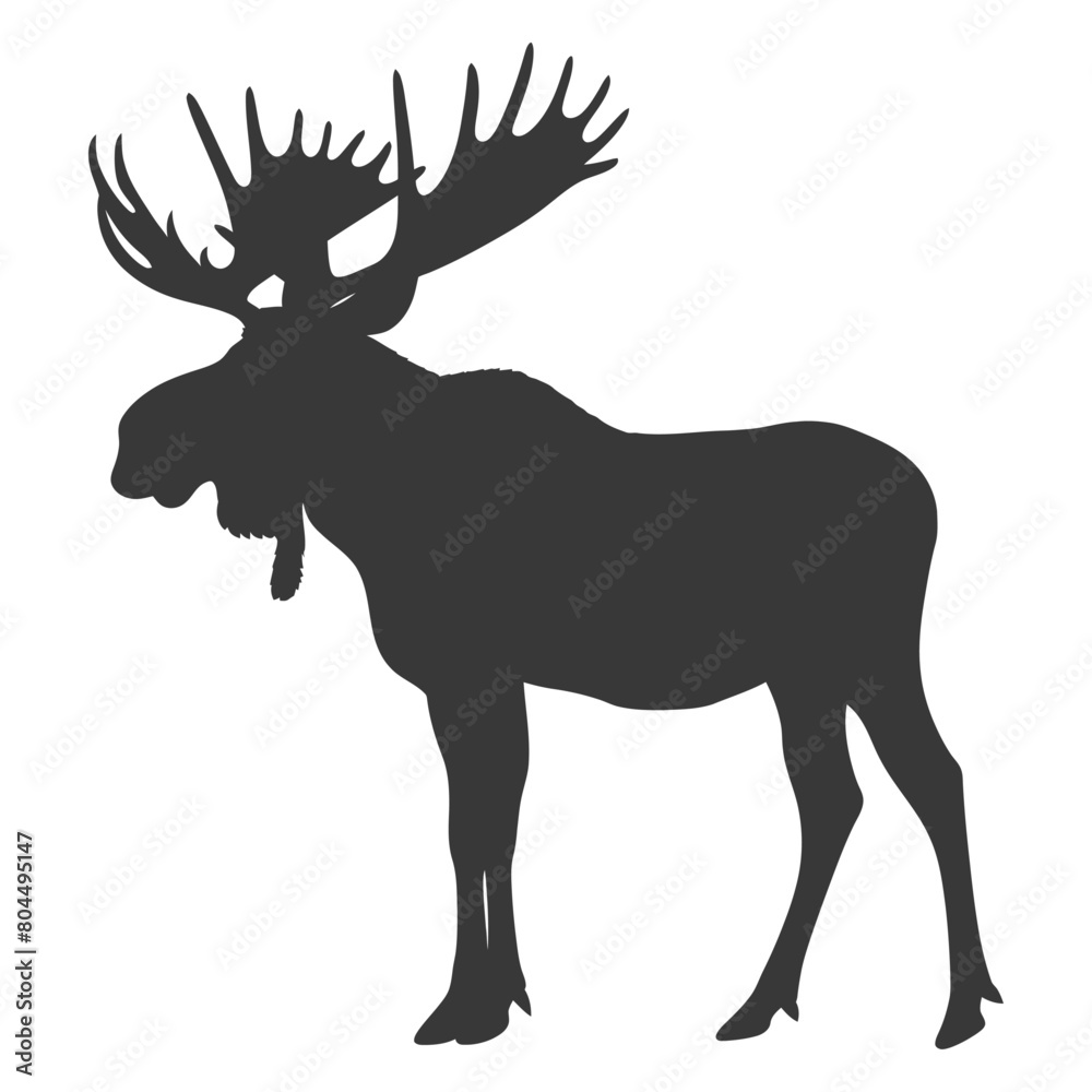 Obraz premium silhouette moose animal full body black color only