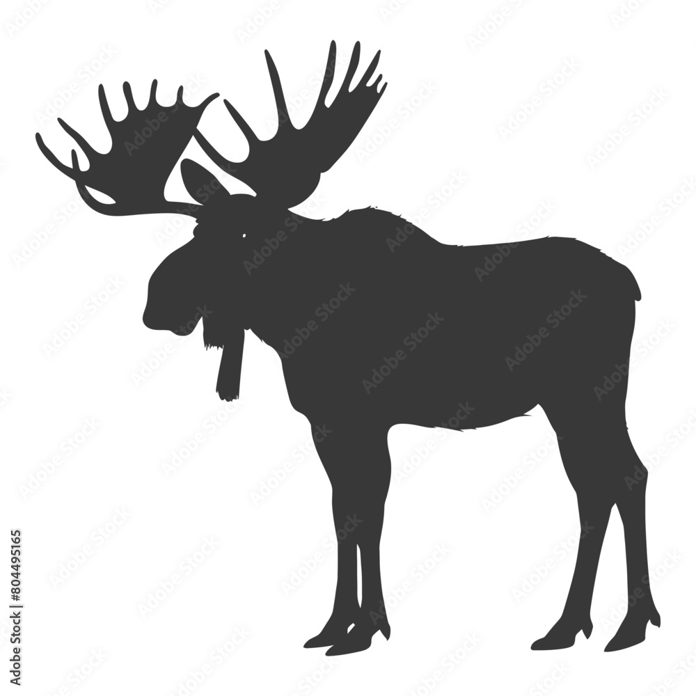 silhouette moose animal full body black color only silhouette moose animal full body black color only