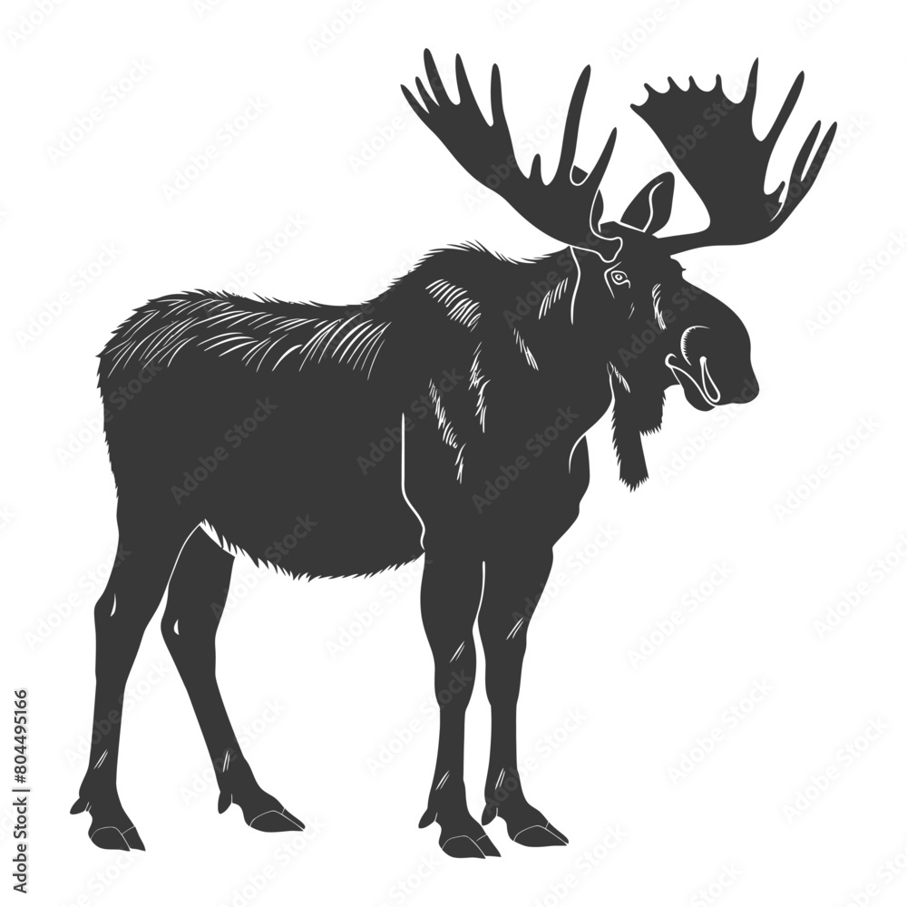 silhouette moose animal full body black color only silhouette moose animal full body black color only