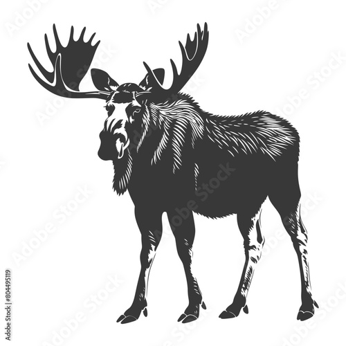 silhouette moose animal full body black color only